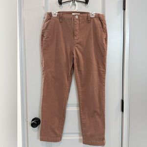 STS Blue Women's Cropped Chino Pants in Rust Brown